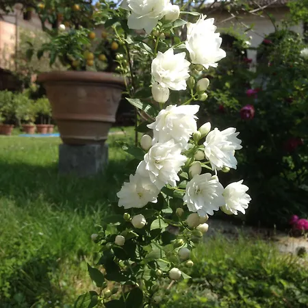 Antica Scuderia فندق مبيت وإفطار 3*