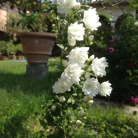 Antica Scuderia Bed & Breakfast